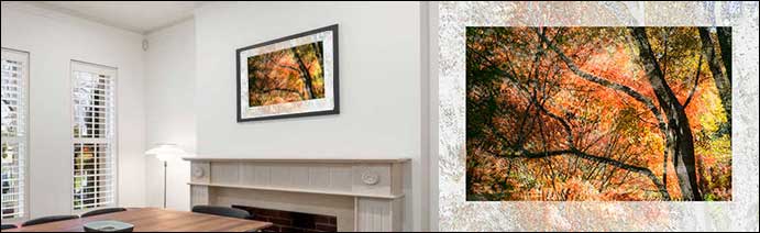horizontal image on wall for button